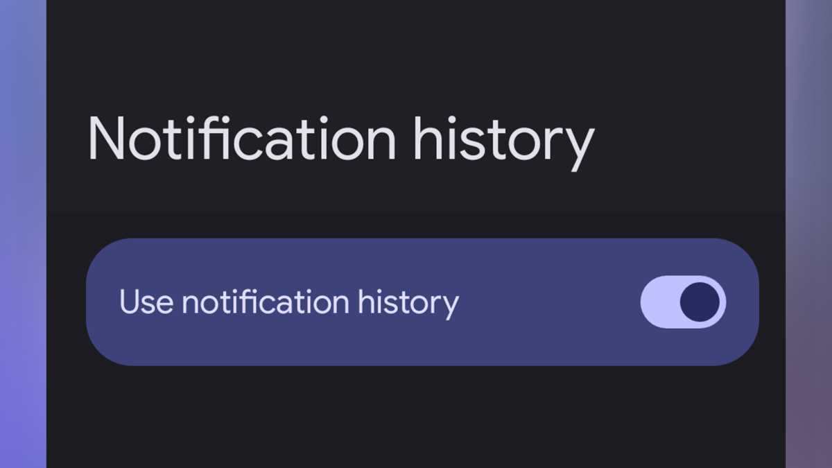 Google Pixel 9 series tips and tricks Notification history