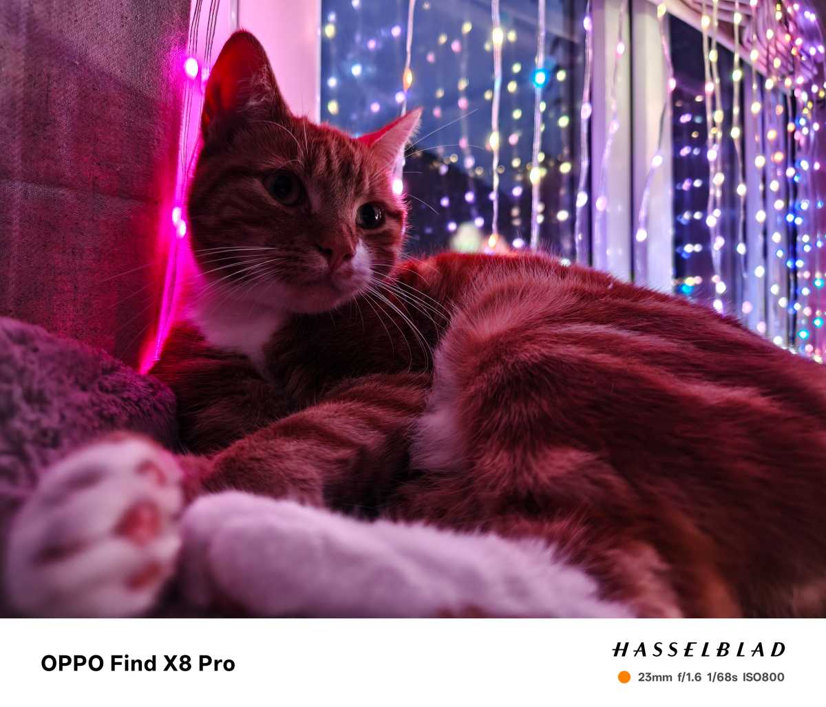 Oppo Find X8 Pro test photo 2